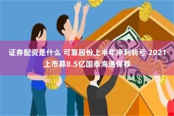 证券配资是什么 可靠股份上半年净利转亏 2021上市募8.5亿国泰海通保荐