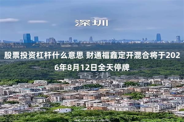 股票投资杠杆什么意思 财通福鑫定开混合将于2026年8月12日全天停牌