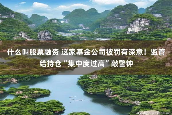 什么叫股票融资 这家基金公司被罚有深意！监管给持仓“集中度过高”敲警钟