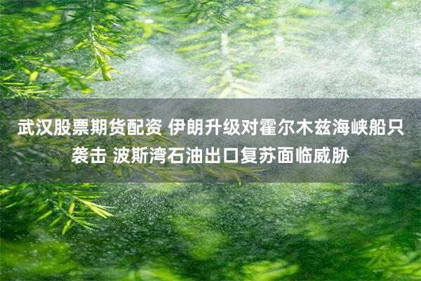武汉股票期货配资 伊朗升级对霍尔木兹海峡船只袭击 波斯湾石油出口复苏面临威胁